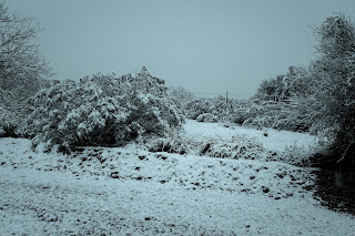 side of road down Kolb