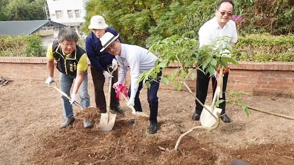 打造彰化市洋紅風鈴木花都 南郭賞花秘境遍地開花