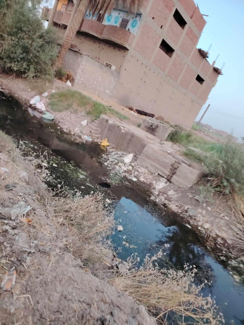 أهالى قرية الصلعا بسوهاج يشكون انقطاع مياه ترعة الكسره وتضرر الأراضي الزراعية