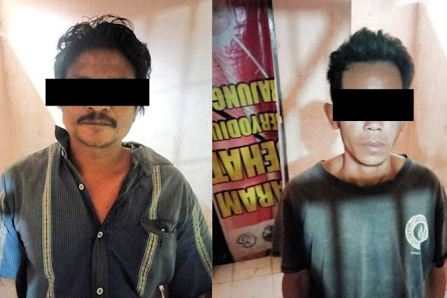 Curi 3 ekor sapi, 2 pelaku dibekuk di wilayah hutan Sekotong