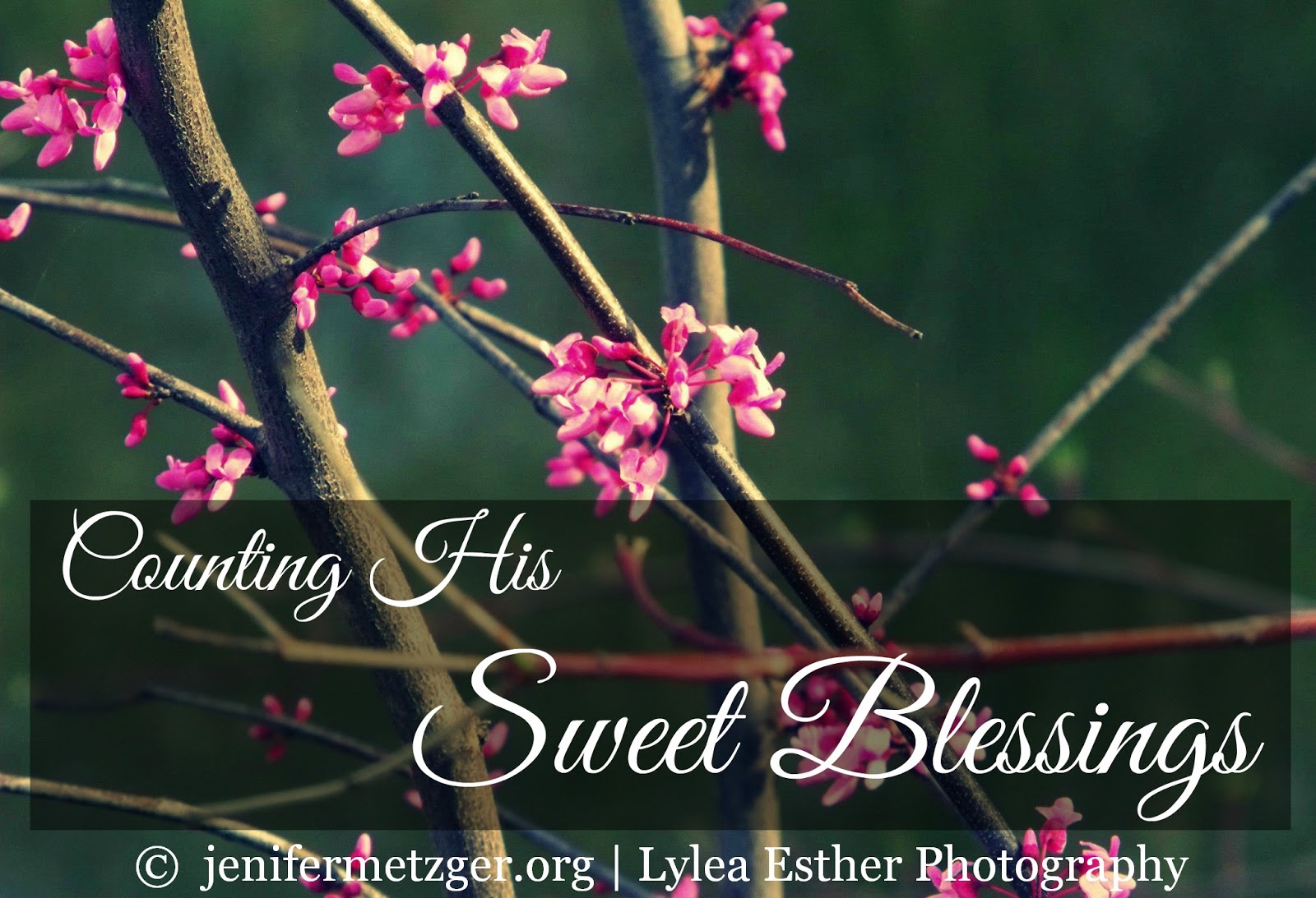 Counting His Sweet #Blessings #thanksgiving #gratefulness