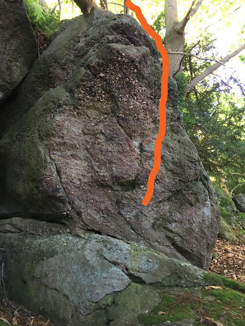 Cool trees boulder problem at Huntsham