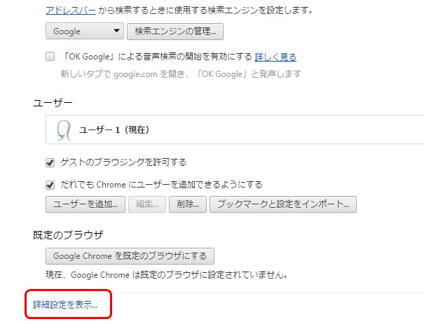 Google Chrome [詳細設定を表示]