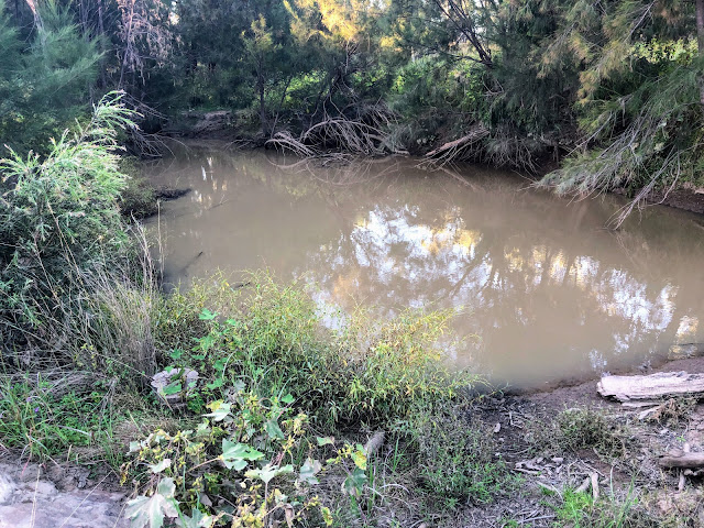 Pool of water on Dawson River