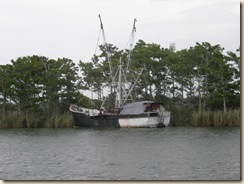 P7050017
