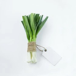 Health Benefits of Leeks. Leeks with Price Tag