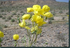 CIMG0446