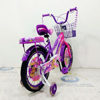 Sepeda Anak Emerson EM9903RM Tread Flower  City Bike