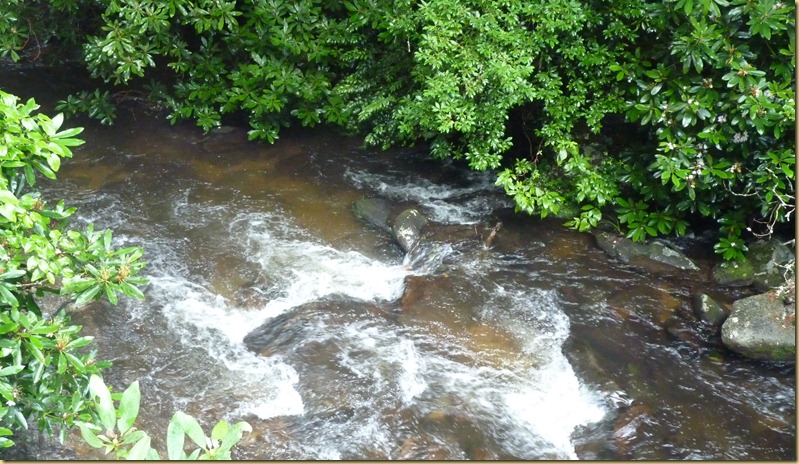 2012-07-14 - NC -2- Pisgah National Forest - Sliding Rock (5)