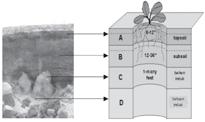 Tanah (Pedosfer) : Pengertian, Proses Pembentukan, Komposisi, Profil, Warna, Kesamaan, Tekstur, Struktur, dan Sistem Klasifikasi Tanah