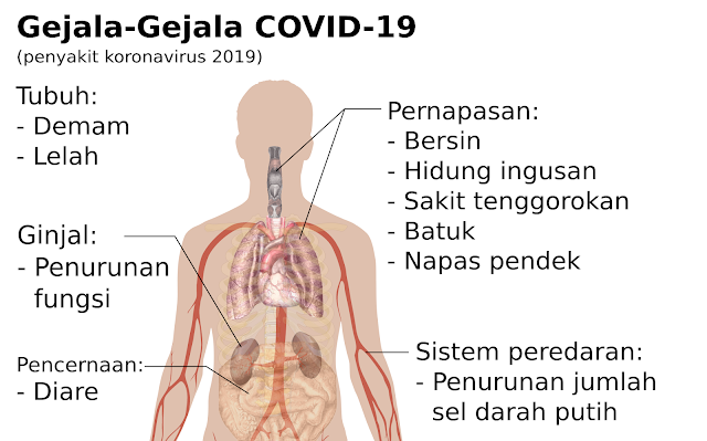 Berita Heboh, Virus Corona, 