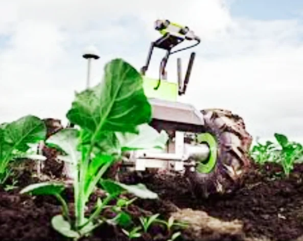 Germany Sprouts Robotics Revolution in Agriculture
