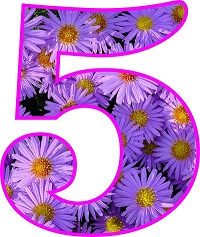 número 5 con diseño floral orilla rosada y flores adentro del numero