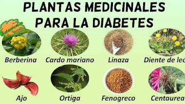 plantas para combatir la diabetes 