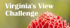 Virginia's View Challenge