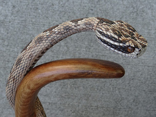 La historia de la serpiente en la carpintería