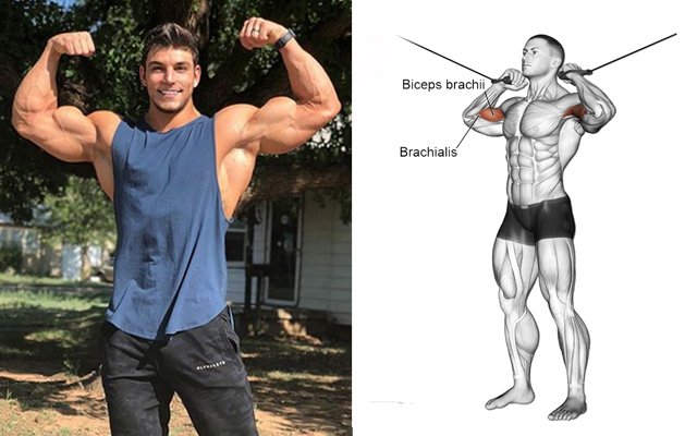 5 Biceps Exercises That Build Big Guns