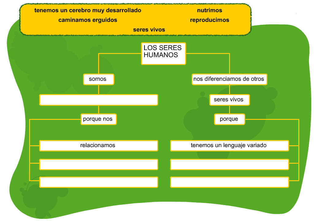 http://www.primerodecarlos.com/TERCERO_PRIMARIA/septiembre/unidad1/cono/seres_humanos/visor.swf