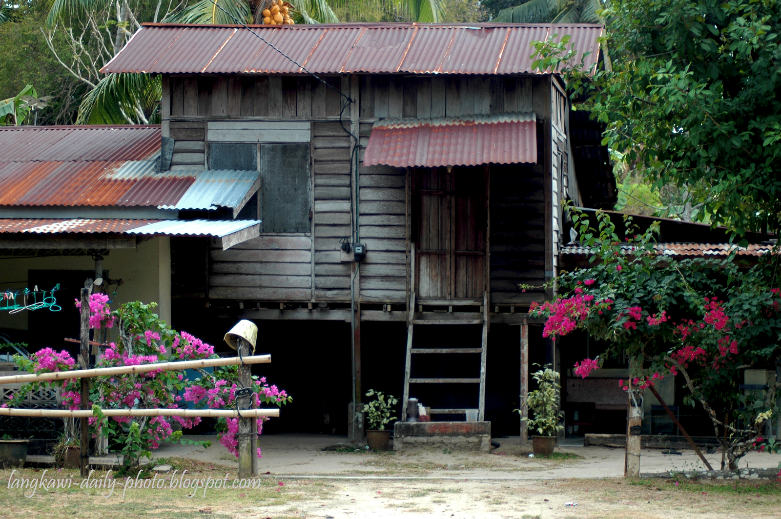 Langkawi Daily Photo: January 2009