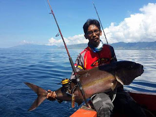 Mancing ikan Amberjack