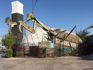 Praying Mantis at Container Park