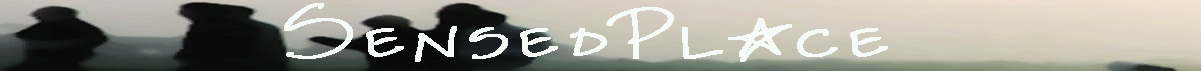SensedPlace