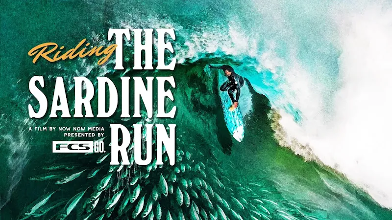 Riding the Sardine Run |  The wildest surfing adventure on Earth || Now Now Media