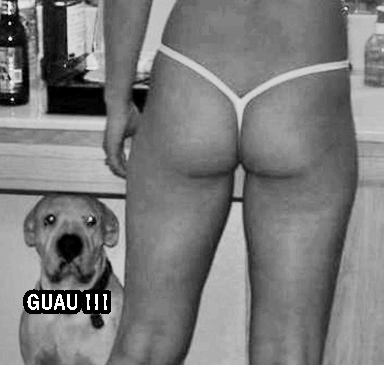 trasero guau
