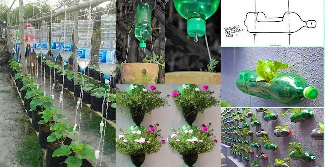 Comment Réutiliser Des Bouteilles En Plastique Pour Le Jardinage