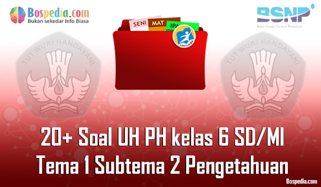 20+ Contoh Soal UH / PH untuk kelas 6 SD/MI Tema 1 Subtema 2 Pengetahuan