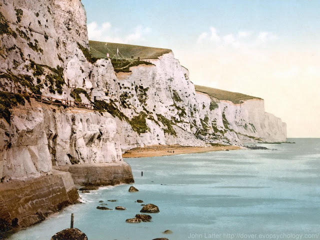 One of six photo-mechanical photographs held by the United States Library of Congress. This stretch of cliffs contains Langdon Bay, Crab Bay, and Fan Bay; the SS Preussen and SS Falcon are local shipwrecks. 