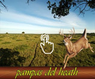 Pampas del Heath
