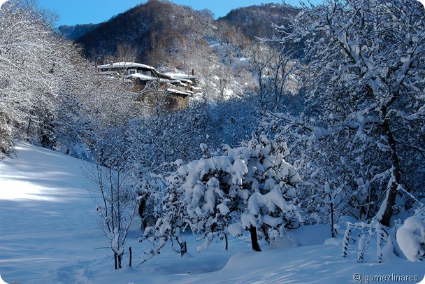 DSC_2249-Editar