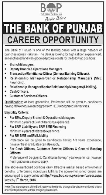 Jobs in Bank of Punjab for Fresh Graduates & Experienced