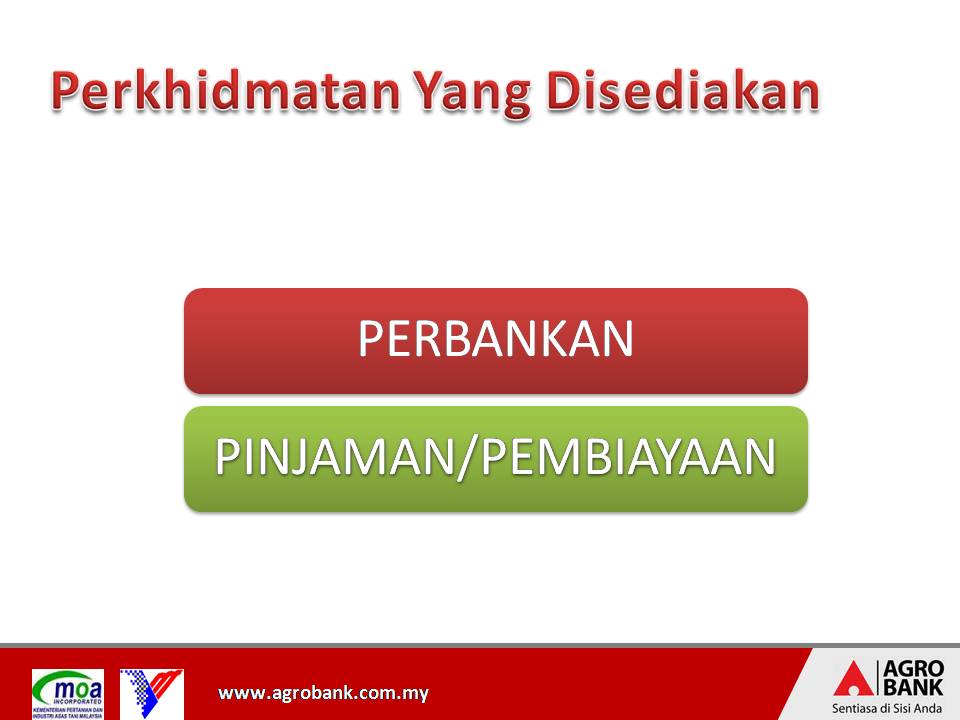 Burung wallet-layang-layang.pembiayaan agro bank.untuk 