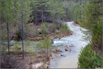 Desembocadura del Arroyo De La Dehesa en el Río Escabas (Poyatos)