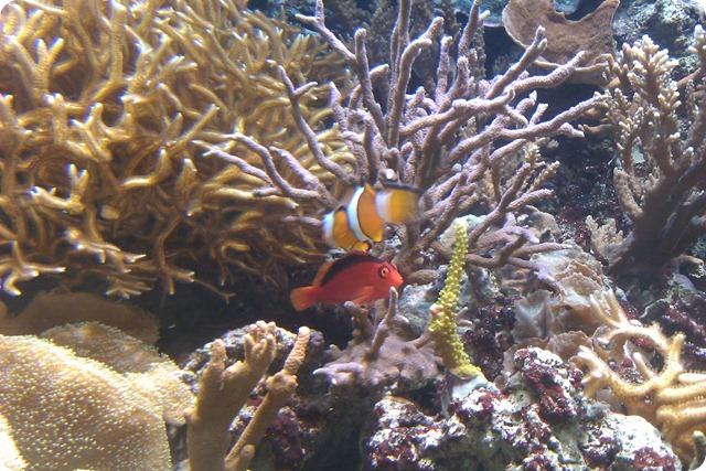 IMAG0165