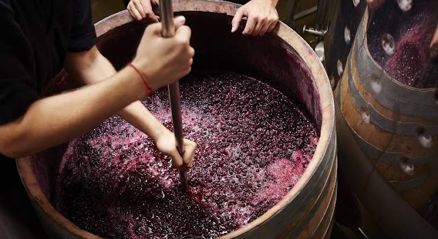 La industria del vino - Problemática mundial