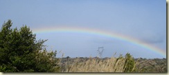 rainbow4_1_1_1