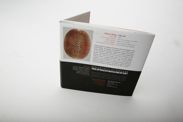 Exhibition & Museum Brochure Design