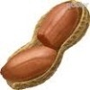 nut