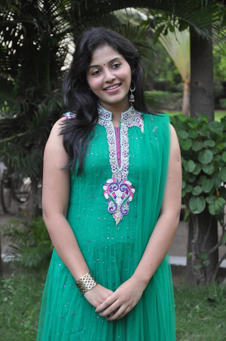 anjali at aravaan press meet actress pics