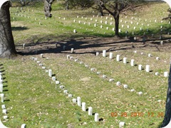 DSCN4391