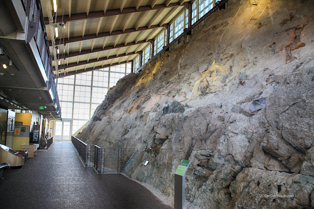 Dinosaur National Monument Utah geology fossils travel rocks hiking camping outdoors scenery copyright RocDocTravel.com