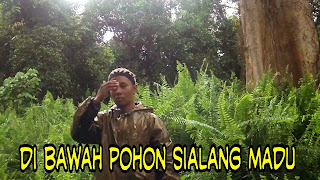 Jual madu murni/curah asli lebah liar hutan riau