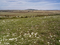 Panorama murgiano e Castel del Monte