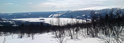 DSC00484_edited