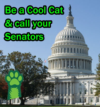 ACTION: Call your Senator about the critical vote on Gaza