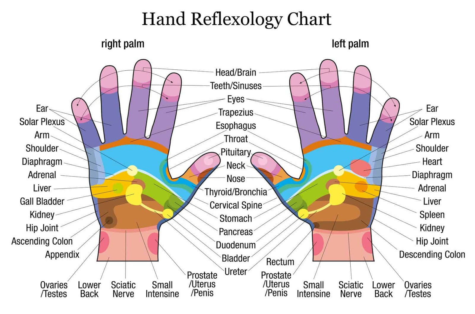 Acupressure: Tap These Points Of Your Hand To Treat The Pain