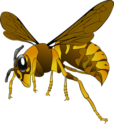 Lebah Madu : Pengertian, Jenis, Siklus Hidup, Manfaat, Lebah dan Madu Dalam Al Quran